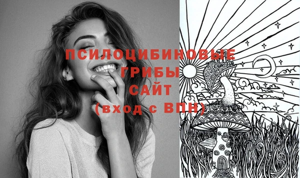 соль курить ск Алексин
