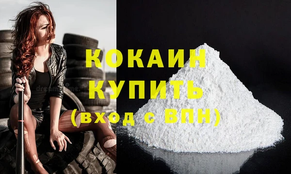 дживик Алзамай