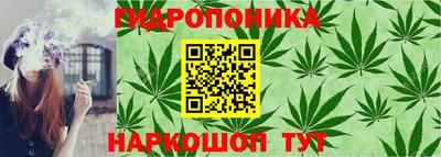 шишки Волжск